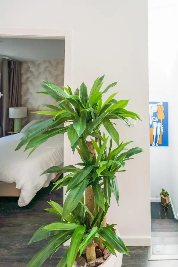 Picasso Apartment Lizbona Portugalia
